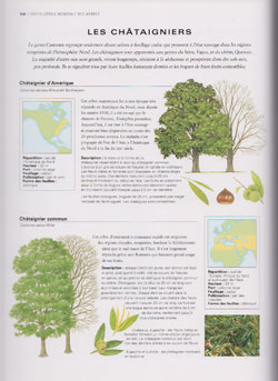 encyclopedie arbres