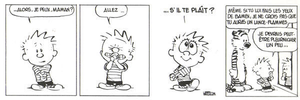 Calvin et Hobbes - Extrait 4