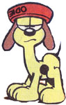 Odie - Image 1