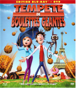 Tempête de Boulettes Géantes